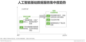 2019年中國人工智能基礎數據服務與行業應用系統集成服務白皮書