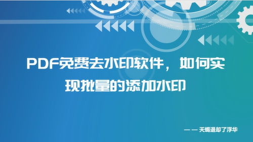 PDF水印免費去除軟件、批量添加水印方法及化妝品行業PDF水印制作教程